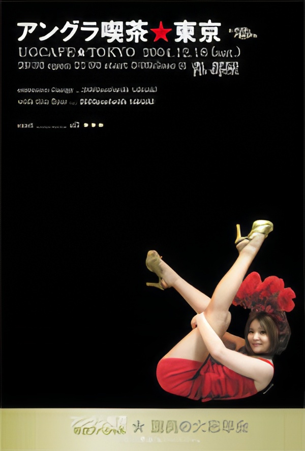 テクノエレガンスVJ